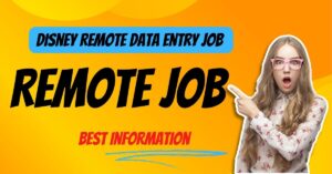 Disney remote data entry job